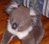 sharon miles's picture